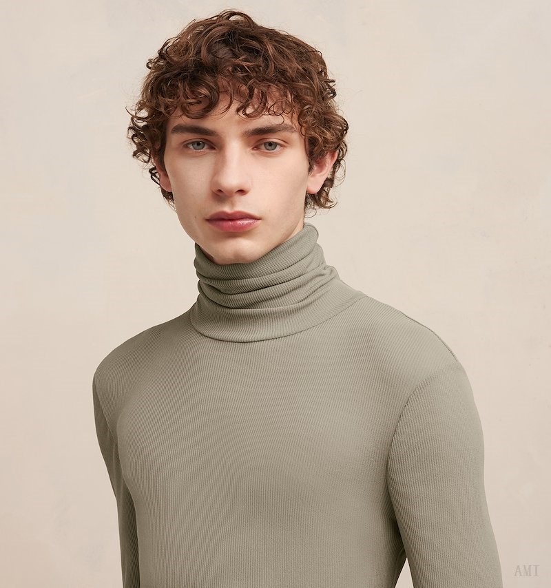 Ami Paris Turtleneck T-shirt Clay Homme | ZXZ-15250583